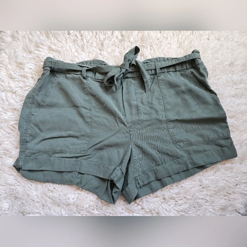 Aerie Women's Green Flowy Shorts